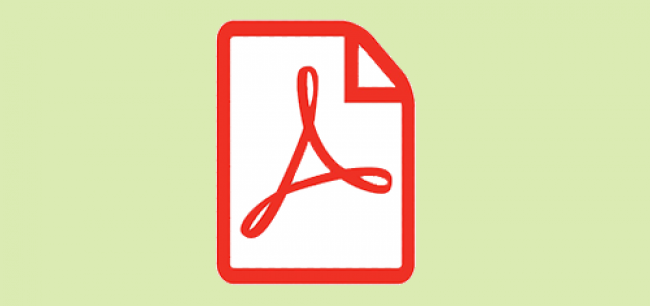 pdf file icon