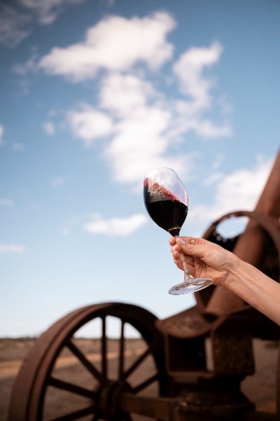 Byrne Vineyards